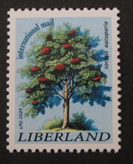 Sorbus aucuparia